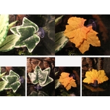 フェイクグリーン 人工観葉植物 葉 | PlusNao | 詳細画像4