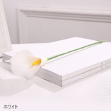 造花 フェイクフラワー 胡蝶蘭 | PlusNao | 詳細画像11 