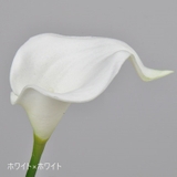 造花 フェイクフラワー 胡蝶蘭 | PlusNao | 詳細画像18 