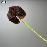 造花 フェイクフラワー 1本 | PlusNao | 詳細画像12 