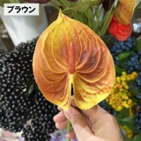 造花 フェイクフラワー 1本 | PlusNao | 詳細画像15 