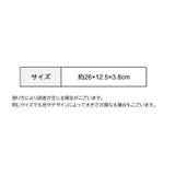 Nintendo Switchケース SwitchLiteケース | PlusNao | 詳細画像14