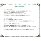 腕時計ベルト ウォッチベルト 交換ベルト | PlusNao | 詳細画像9