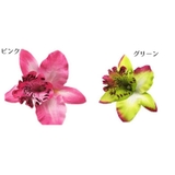ヘアクリップ ヘアアクセサリー ヘッドドレス | PlusNao | 詳細画像5