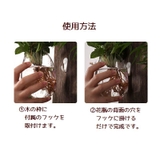 壁掛け花瓶 花瓶 花器 | PlusNao | 詳細画像14