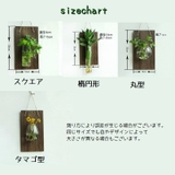 壁掛け花瓶 花瓶 花器 | PlusNao | 詳細画像19