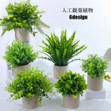 人工観葉植物 フェイクグリーン 多肉植物 | PlusNao | 詳細画像1 