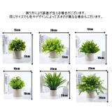 人工観葉植物 フェイクグリーン 多肉植物 | PlusNao | 詳細画像11 