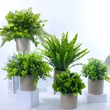 人工観葉植物 フェイクグリーン 多肉植物 | PlusNao | 詳細画像2 