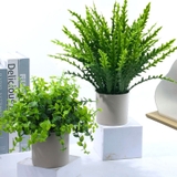 人工観葉植物 フェイクグリーン 多肉植物 | PlusNao | 詳細画像4 