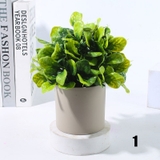 人工観葉植物 フェイクグリーン 多肉植物 | PlusNao | 詳細画像5 
