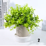 人工観葉植物 フェイクグリーン 多肉植物 | PlusNao | 詳細画像6 