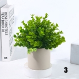 人工観葉植物 フェイクグリーン 多肉植物 | PlusNao | 詳細画像7 
