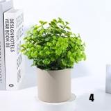 人工観葉植物 フェイクグリーン 多肉植物 | PlusNao | 詳細画像8 