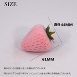 アクセサリーケース リングケース 指輪ケース | PlusNao | 詳細画像9 