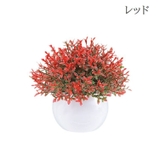 造花 フェイクグリーン 人工植物 | PlusNao | 詳細画像4 