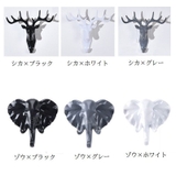 ウォールフック 粘着 壁面装飾 | PlusNao | 詳細画像14