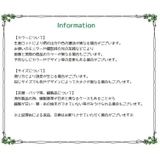ウォールフック 粘着 壁面装飾 | PlusNao | 詳細画像17