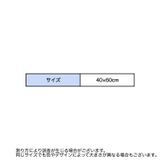 バスマット 足ふきマット 洗面所マット | PlusNao | 詳細画像20