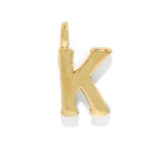 チャーム0019 イニシャル シルバー | ボディピアス専門店凛RIN | 詳細画像28