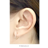 2個セットセグメントリング 軟骨ピアス 24K | ボディピアス専門店凛RIN | 詳細画像10
