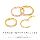2個セットセグメントリング 軟骨ピアス 24K | ボディピアス専門店凛RIN | 詳細画像6