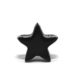 スター・ブラック | 18Gボディピアス 星稲妻 サージカルステンレス | ボディピアス専門店凛RIN