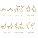 ピアス かわいい十二星座ホロスコープ星 金属アレルギー | ボディピアス専門店凛RIN | 詳細画像10