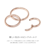 軟骨ピアス 16G ボディピアス | ボディピアス専門店凛RIN | 詳細画像3