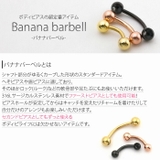 へそピアス ボディピアス ヘソピアス | ボディピアス専門店凛RIN | 詳細画像2
