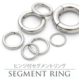ボディピアス 8G セグメントリング | ボディピアス専門店凛RIN | 詳細画像2