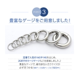 ボディピアス 8G セグメントリング | ボディピアス専門店凛RIN | 詳細画像6
