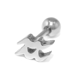 水瓶座・みずがめ座 | 軟骨ピアス 星黄道12星座 zodiacsignサージカルステンレス | ボディピアス専門店凛RIN