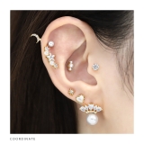 軟骨ピアスボディピアス ジュエルクラウン王冠ハート | ボディピアス専門店凛RIN | 詳細画像5