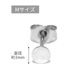 ファッションピアス 円丸フラット シルバーゴールド | ボディピアス専門店凛RIN | 詳細画像11