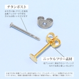 ファッションピアス 円丸フラット シルバーゴールド | ボディピアス専門店凛RIN | 詳細画像6