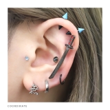 漢字モチーフボディピアス 愛桜忍侍凛鬼無武道鮨 ストレートバーベル | ボディピアス専門店凛RIN | 詳細画像13 