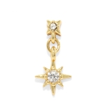 ゴールド | 軟骨ピアス 星スタージュエルチャーム付きキュービックジルコニア ボディピアス | ボディピアス専門店凛RIN