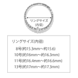 リング指輪 十字架 シルバーゴールド | ボディピアス専門店凛RIN | 詳細画像9