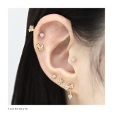 軟骨ピアス プチジュエル星ハートサークルキュービックジルコニア金アレ ボディピアス | ボディピアス専門店凛RIN | 詳細画像5