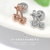 ボディピアス 軟骨ピアス 16G | ボディピアス専門店凛RIN | 詳細画像3