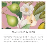 【THE ENGLISH SOAP | Sanwa Select | 詳細画像3 