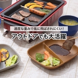 レンジで使える 木目調 ランチプレート 2枚組  | 食器とキッチン用品のmotte+ | 詳細画像2 