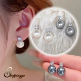 ピアス パール スタッドピアス | shoppinggo | 詳細画像1