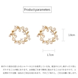 ピアスレディース スタッドピアス 大ぶり | shoppinggo | 詳細画像3