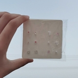 ピアスセット6ペア スタッドピアス パール | shoppinggo | 詳細画像6 