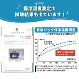 ランチバッグ 保冷 保温 | Skater | 詳細画像7 