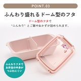 スケーター 洗いやすい弁当箱 パッキン溝の幅が広い | Skater | 詳細画像4 