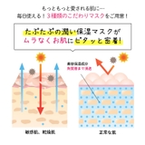 素肌べっぴんますく30枚 ヒト幹細胞培養液配合フェイスマスク30枚 シートマスク | 素肌べっぴん館  | 詳細画像4 