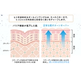 ヒト幹細胞オールインワンジェル270ｇ HITO-KANシリーズ | 素肌べっぴん館  | 詳細画像5 